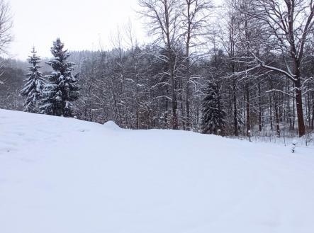 zimní foto3IMG_20231203_140555.jpg | Prodej - pozemek, ostatní, 8 531 m²