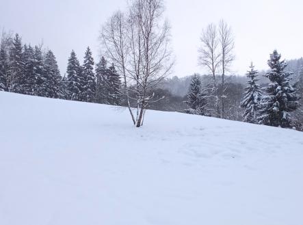 zimní foto 2IMG_20231203_140550.jpg | Prodej - pozemek, ostatní, 8 531 m²