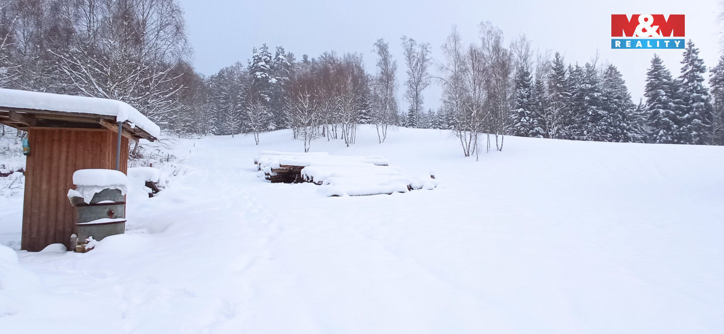 zimní foto 1IMG_20231203_140543.jpg