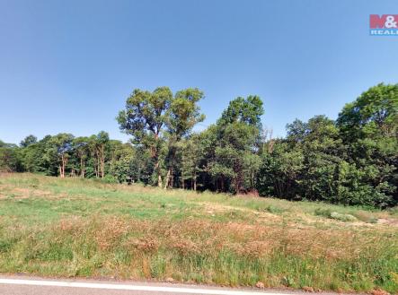 Snímek obrazovky 2023-08-24 v 141642.jpg | Prodej - pozemek pro bydlení, 5 923 m²
