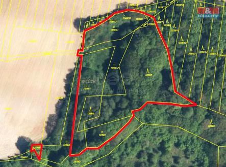 mapka | Prodej - pozemek, les, 9 823 m²