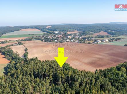 Prodej - pozemek, les, 4 036 m²