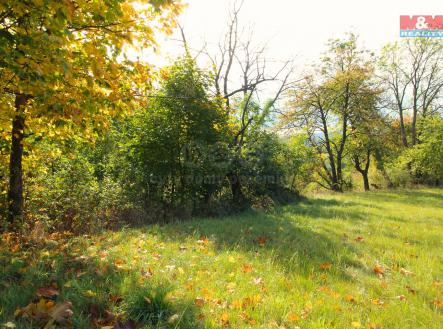 pohled na louku | Prodej - pozemek, trvalý travní porost, 3 251 m²