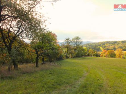 pohled na louku | Prodej - pozemek, trvalý travní porost, 3 251 m²