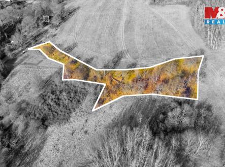 pohled na pozemek | Prodej - pozemek, trvalý travní porost, 3 251 m²