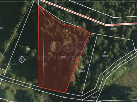 Prodej - pozemek, les, 3 004 m²