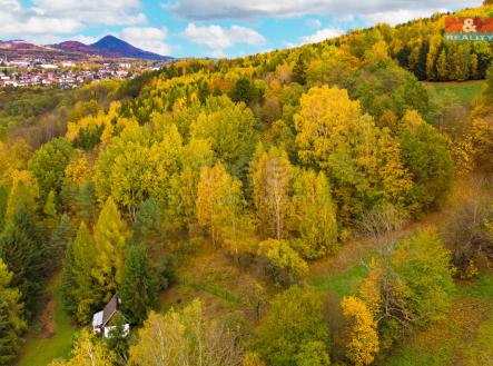 2.jpg | Prodej - pozemek, les, 3 004 m²