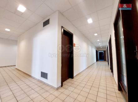 Pronájem - kanceláře, 221 m²