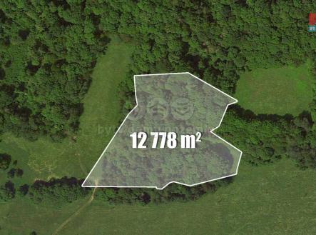 Prodej - pozemek, les, 12 778 m²
