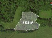 Prodej - pozemek, les, 12 778 m²