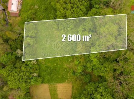Prodej - pozemek, trvalý travní porost, 2 600 m²