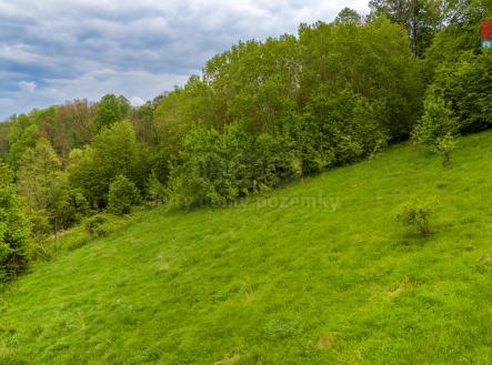 3.jpg | Prodej - pozemek, trvalý travní porost, 2 600 m²