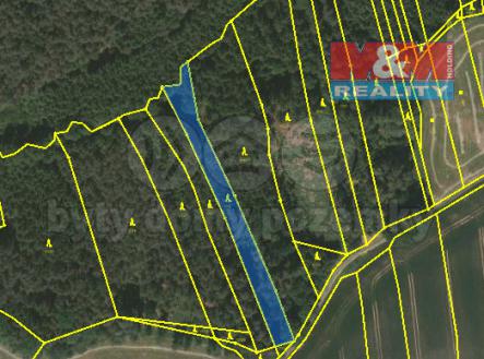 Prodej - pozemek, les, 2 043 m²