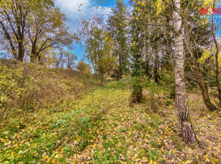 2.jpg | Prodej - pozemek, trvalý travní porost, 1 487 m²