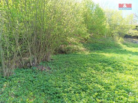IMG_20250423_115202_767.jpg | Prodej - pozemek, trvalý travní porost, 2 141 m²