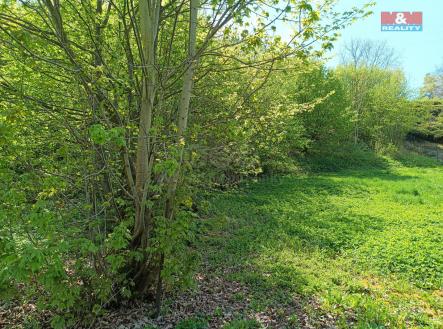 IMG_20250423_115238_964.jpg | Prodej - pozemek, trvalý travní porost, 2 141 m²
