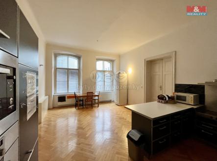 Pronájem bytu, 5+1, 250 m²