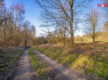 6.jpg | Prodej - pozemek, trvalý travní porost, 9 771 m²