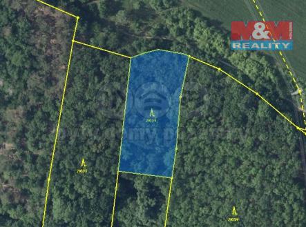 Prodej - pozemek, les, 7 458 m²