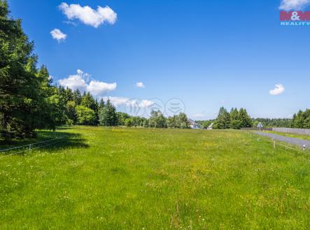 Prodej - pozemek, trvalý travní porost, 6 192 m²