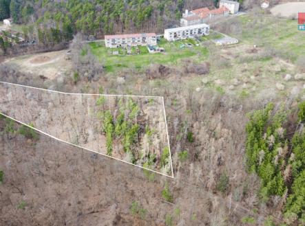 Bojanovice-min.png | Prodej - pozemek, les, 7 378 m²