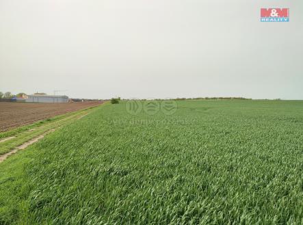Prodej - pozemek, zemědělská půda, 7 926 m²