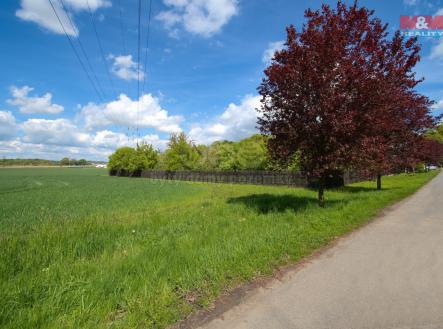 1-ZooDSC_4133.jpg | Prodej - pozemek pro bydlení, 3 195 m²