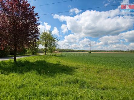 1-ZooDSC_4125.jpg | Prodej - pozemek pro bydlení, 3 195 m²