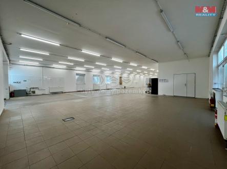 Pronájem - skladovací prostor, 570 m²