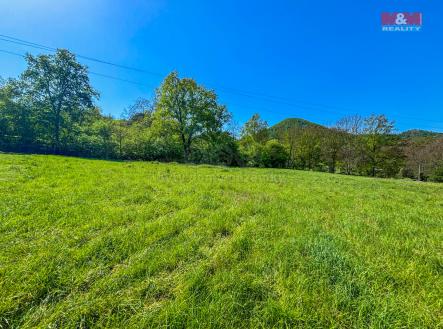 Pozemek | Prodej - pozemek, trvalý travní porost, 1 543 m²