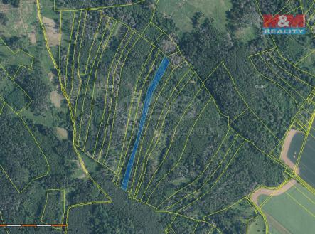 katastrální mapa drásov.jpg | Prodej - pozemek, les, 7 489 m²