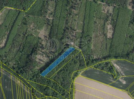katastrální mapa | Prodej - pozemek, les, 12 375 m²