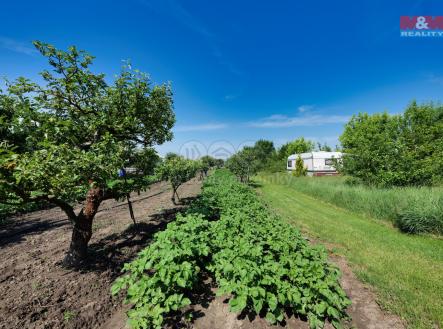 P1118301.jpeg | Prodej - pozemek, zahrada, 1 810 m²