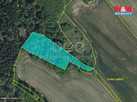 Prodej - pozemek, les, 19 546 m²