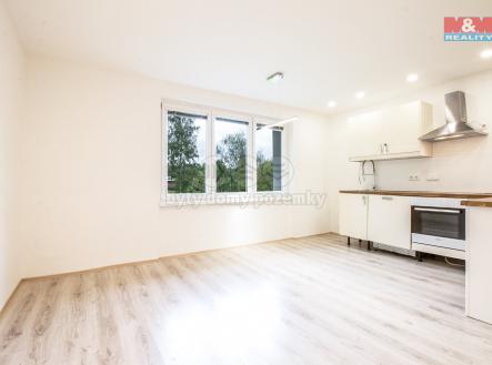 kuchyň s obývacím pokojem | Prodej bytu, 3+kk, 66 m²