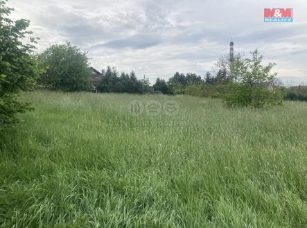 IMG_4025.jpeg | Pronájem - pozemek, trvalý travní porost, 4 001 m²