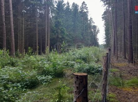 Obrázek WhatsApp, 2025-07-30 v 09.44.14_6eb2928f.jpg | Prodej - pozemek, les, 3 179 m²