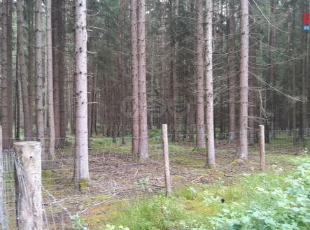 Obrázek WhatsApp, 2025-07-30 v 09.44.14_4b24056a.jpg | Prodej - pozemek, les, 3 179 m²