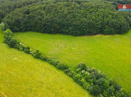 Prodej - pozemek, trvalý travní porost, 11 031 m²