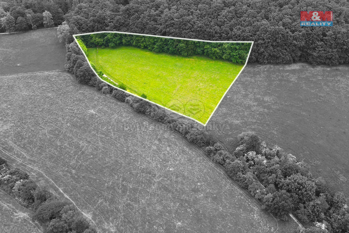 Upravené foto 1.jpg