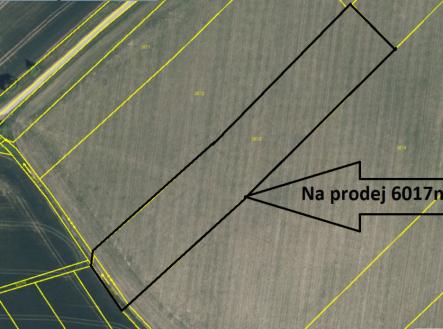 p3.png | Prodej - pozemek, zemědělská půda, 6 017 m²
