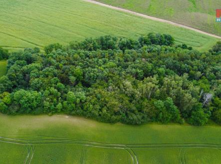 DJI_0587.jpg | Prodej - pozemek, zemědělská půda, 27 000 m²