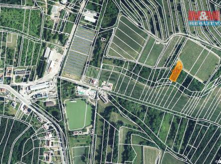 Prodej - pozemek, trvalý travní porost, 1 125 m²