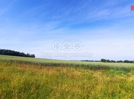 IMG_20240614_100707.jpg | Prodej - pozemek, zemědělská půda, 31 465 m²