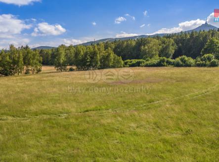 007.jpg | Prodej - pozemek, trvalý travní porost, 14 962 m²