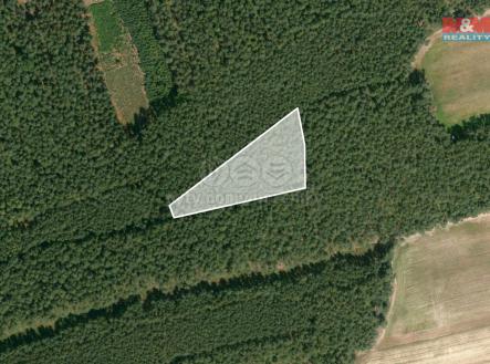 Prodej - pozemek, les, 33 098 m²
