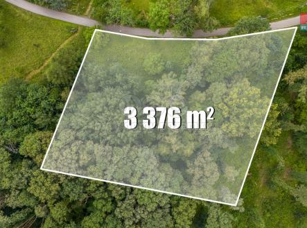 Prodej - pozemek, les, 3 376 m²