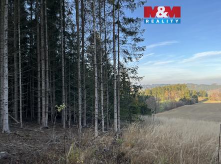 IMG_1835.jpeg | Prodej - pozemek, les, 38 344 m²