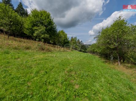 DSC07197-HDR.jpg | Prodej - pozemek, trvalý travní porost, 1 784 m²