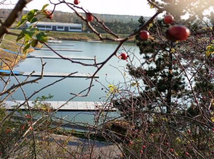 račice603.jpg | Prodej - pozemek pro bydlení, 986 m²